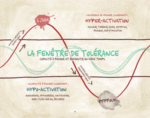 Se Rétablir d'un traumatisme - Guide simplifié destiné aux thérapeutes - livre électronique