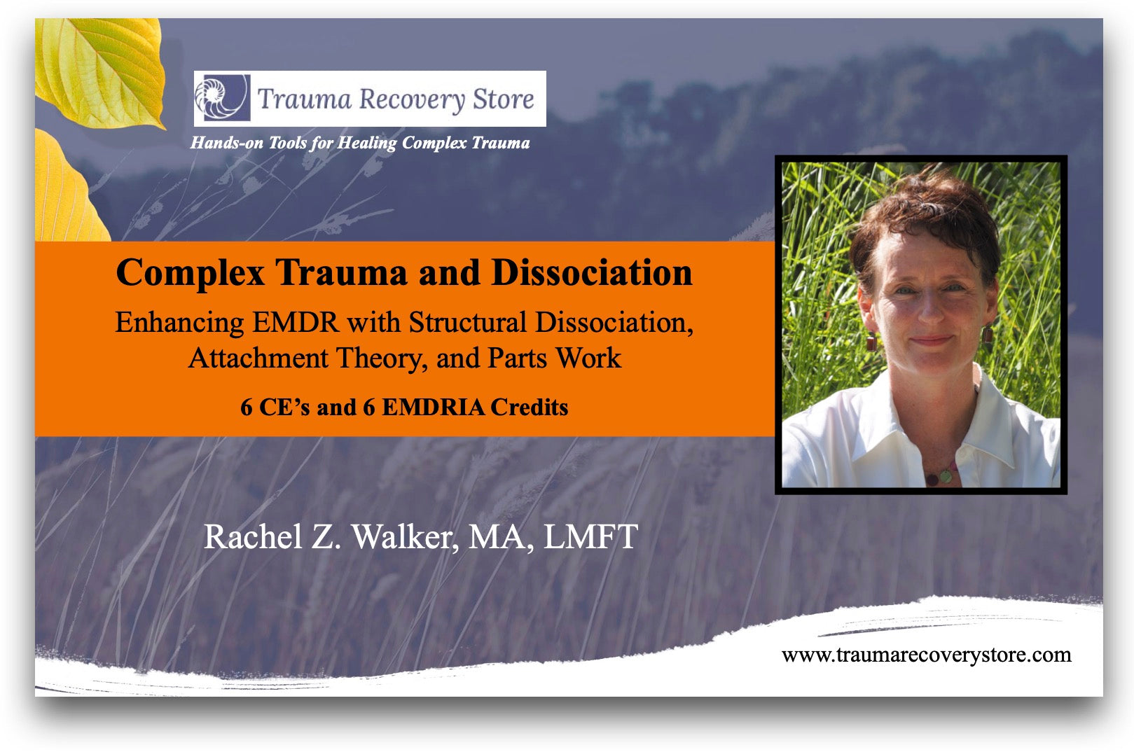 More on Parts Secondary Dissociation and Complex PTSD